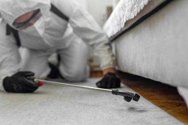 Professional Ant Control technician working in University of California-Davis, CA