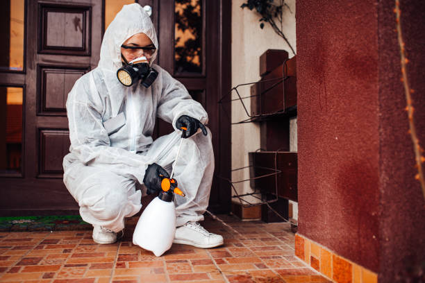 Reliable Wasp Removal contractor in University of California-Davis, CA by Show Me Pest Control